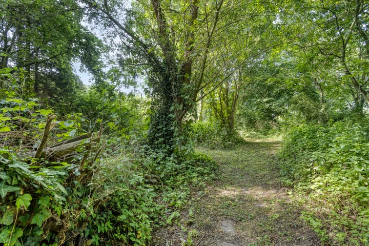 Foto 43 van Waalbandijk 16