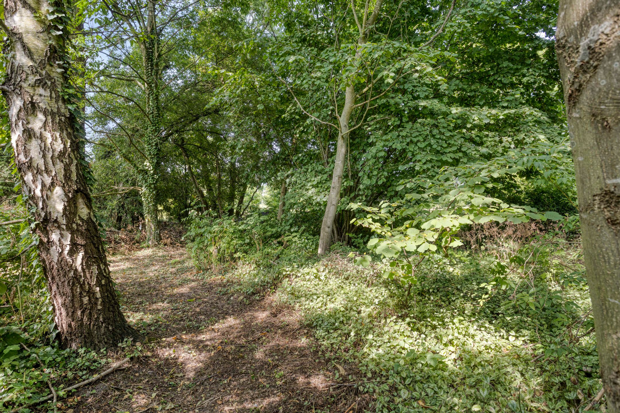 Photo 45 of Waalbandijk 16