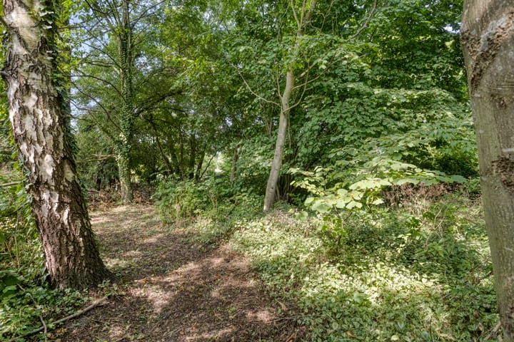 Foto 45 van Waalbandijk 16