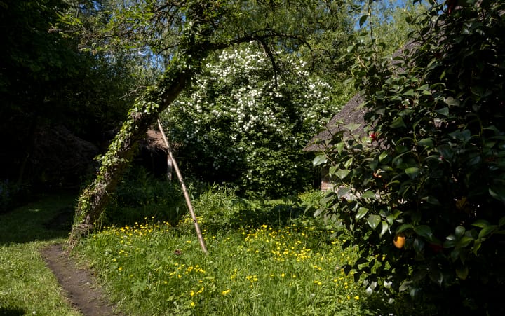 Foto 47 van Waalbandijk 16