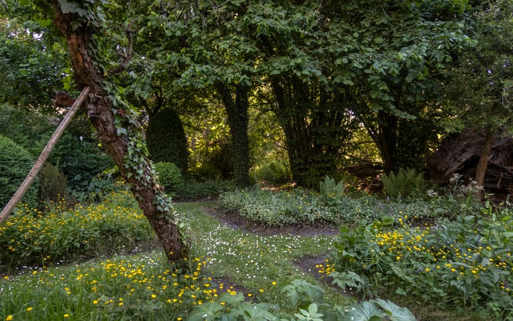 Foto 48 van Waalbandijk 16