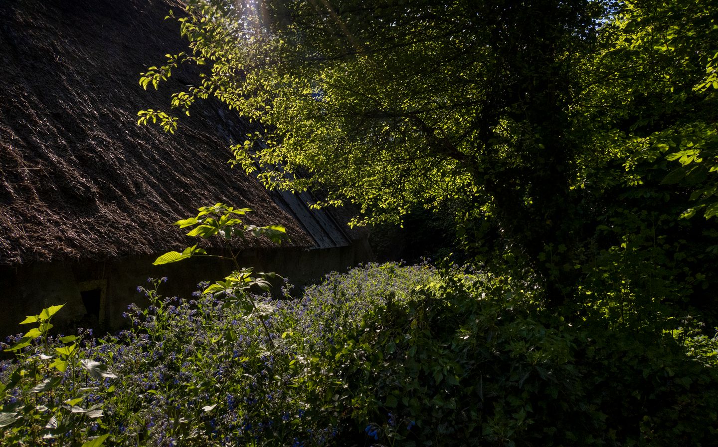 Photo 49 of Waalbandijk 16