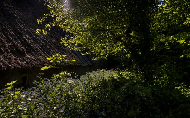 Foto 49 van Waalbandijk 16