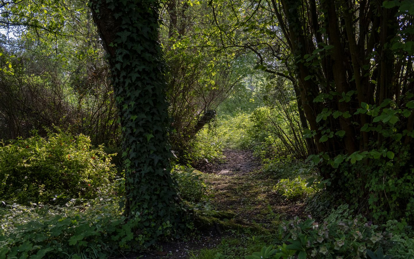 Photo 50 of Waalbandijk 16