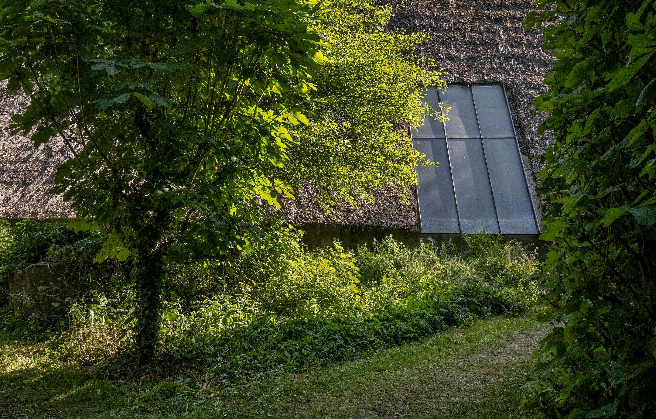 Photo 51 of Waalbandijk 16