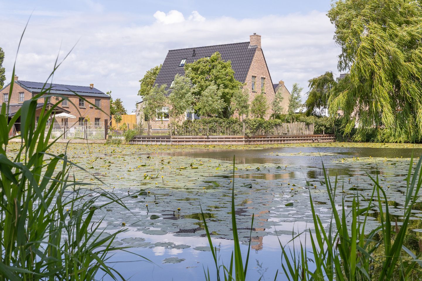 Kleingouw 60 main image