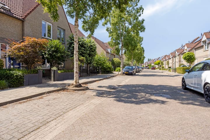 Foto 29 van Bieslook 7