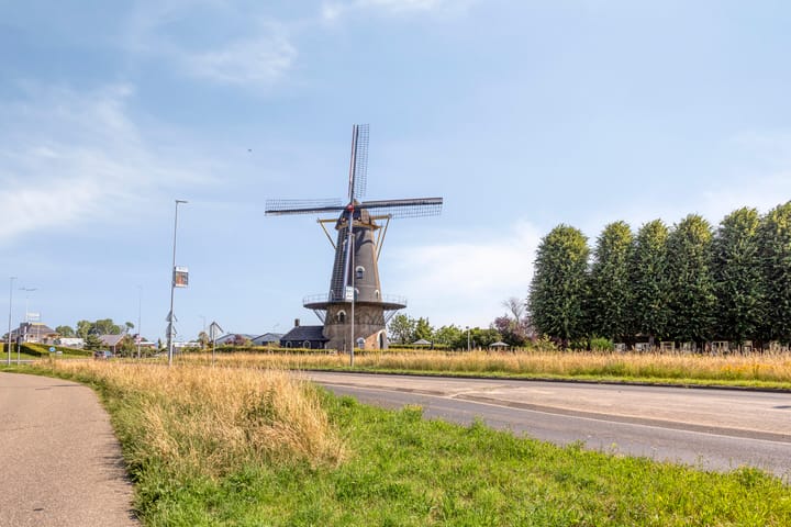 Foto 30 van Bieslook 7