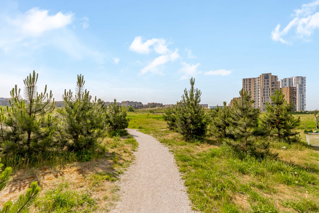 Foto 53 van Sterduinstraat 137