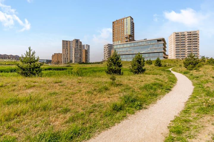 Foto 54 van Sterduinstraat 137