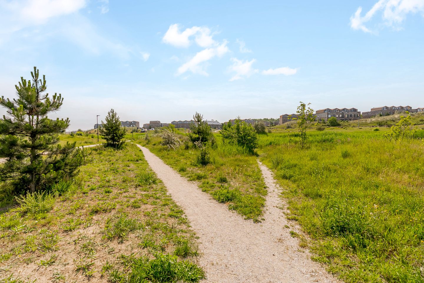 Foto 55 van Sterduinstraat 137