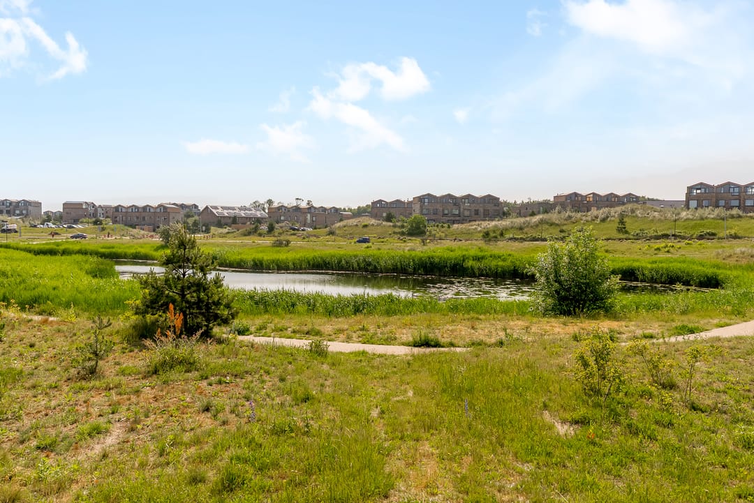 Foto 56 van Sterduinstraat 137