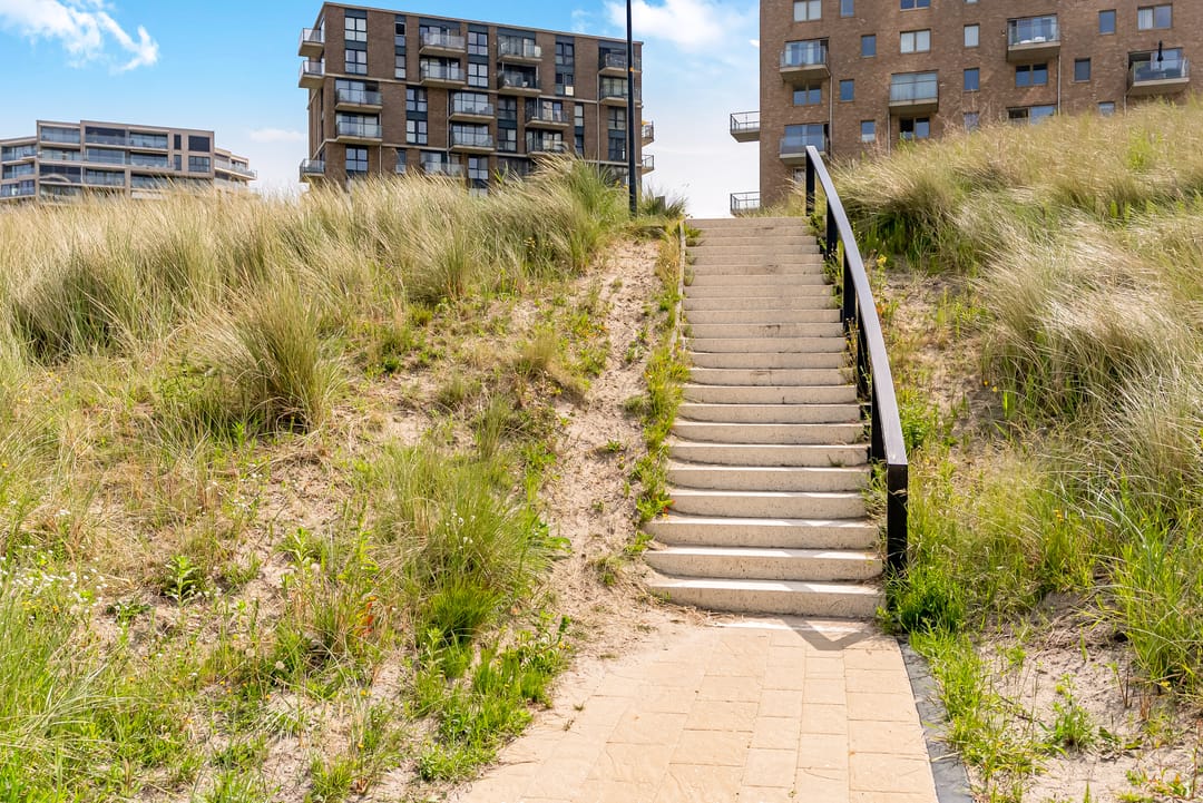 Foto 61 van Sterduinstraat 137