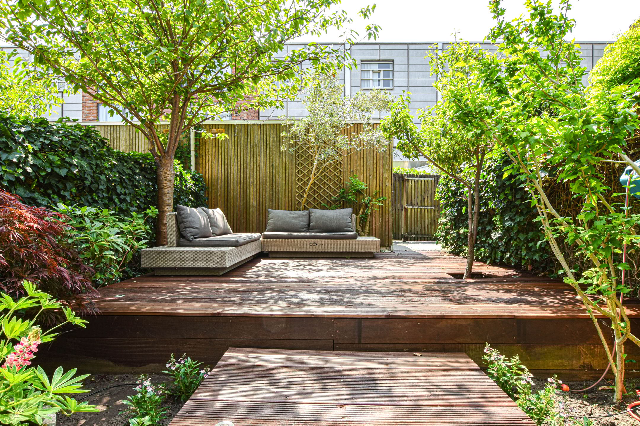 Foto 3 van Maria Austriastraat 650