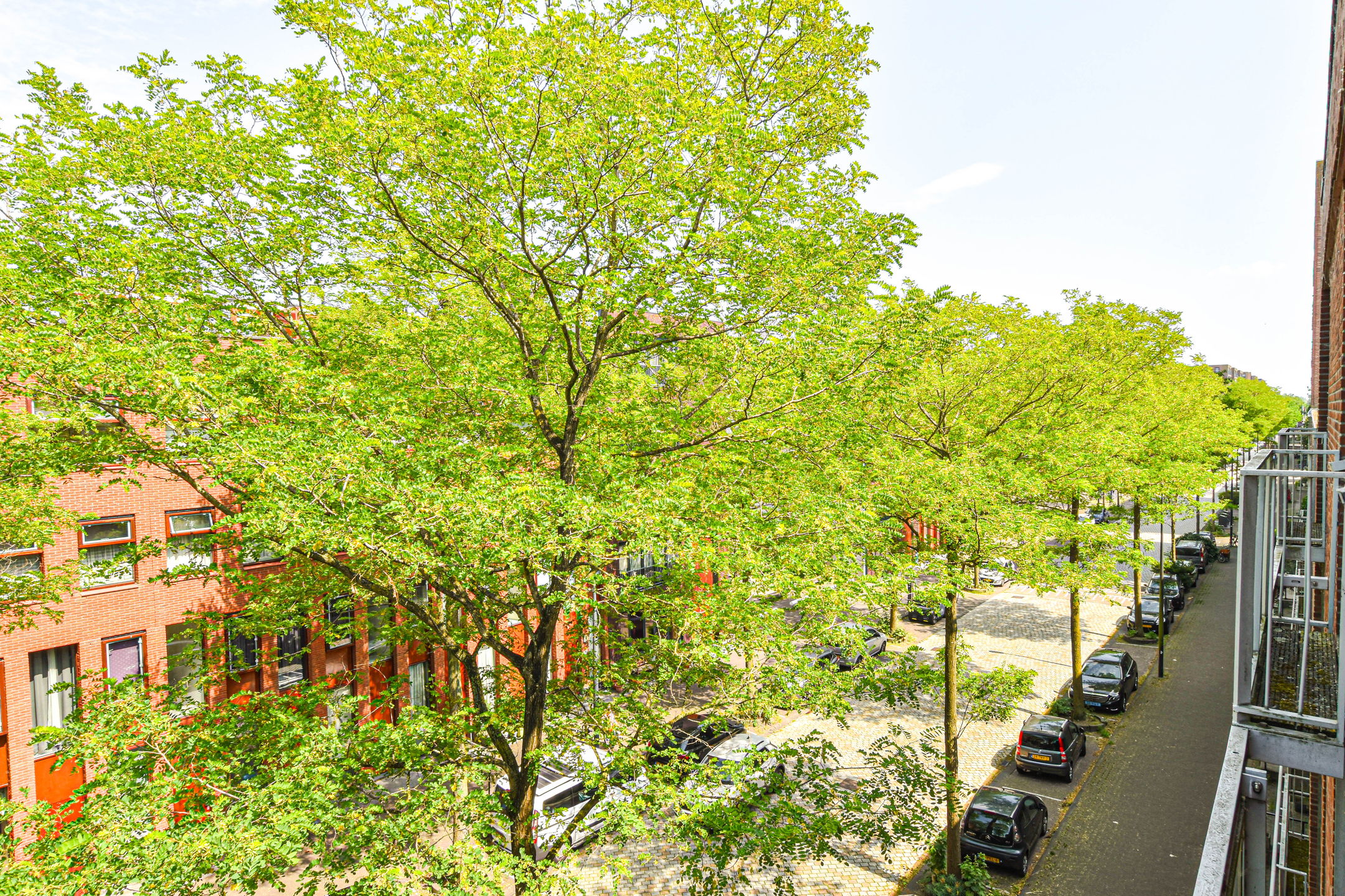 Foto 51 van Maria Austriastraat 650