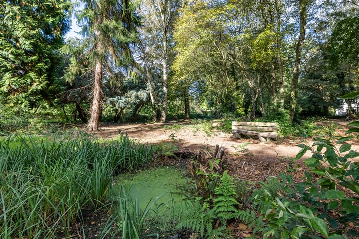 Foto 10 van Oude Steeg 3