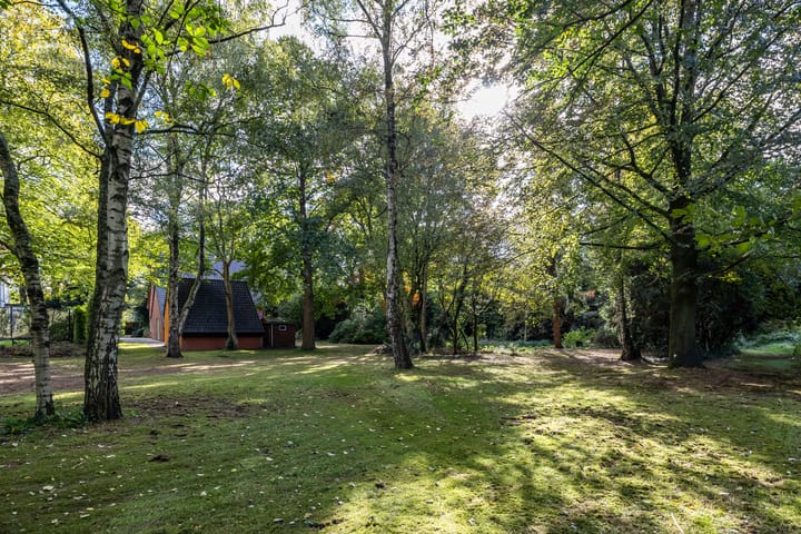 Foto 11 van Oude Steeg 3