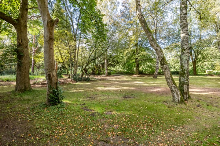 Foto 13 van Oude Steeg 3