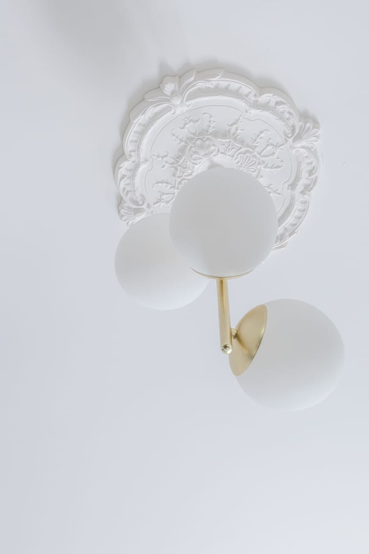 Foto 8 van Krayenhofflaan 102