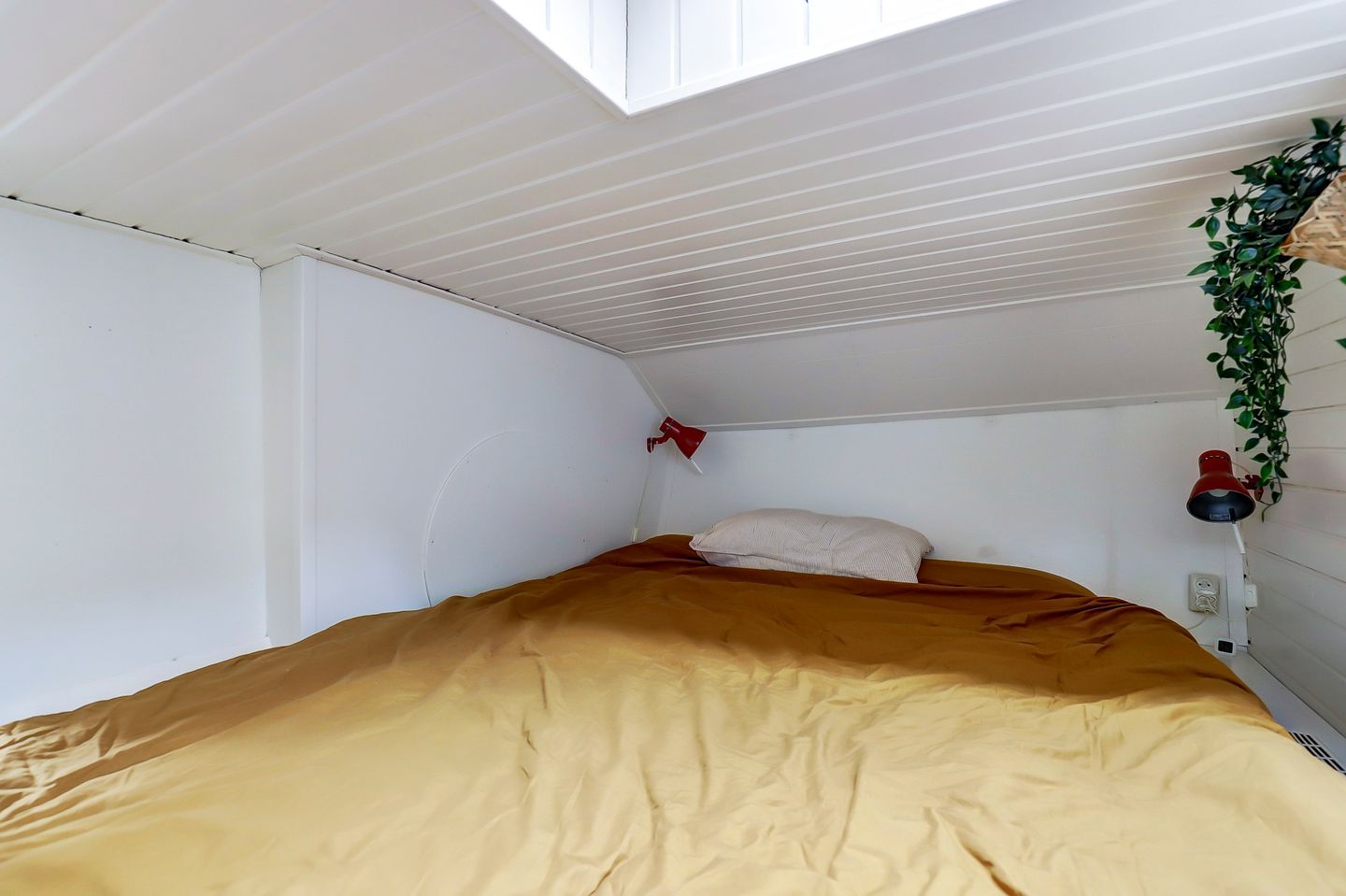 Foto 25 van Koningsdam 1