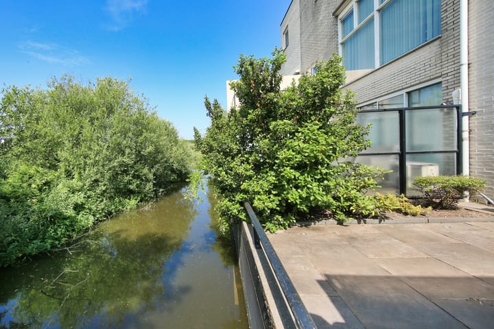 Foto 12 van Pyreneeën 61