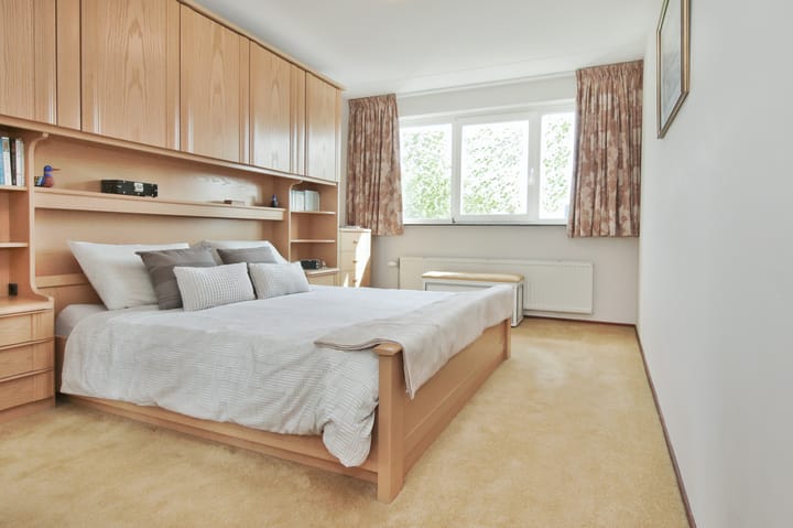 Foto 13 van Pyreneeën 61