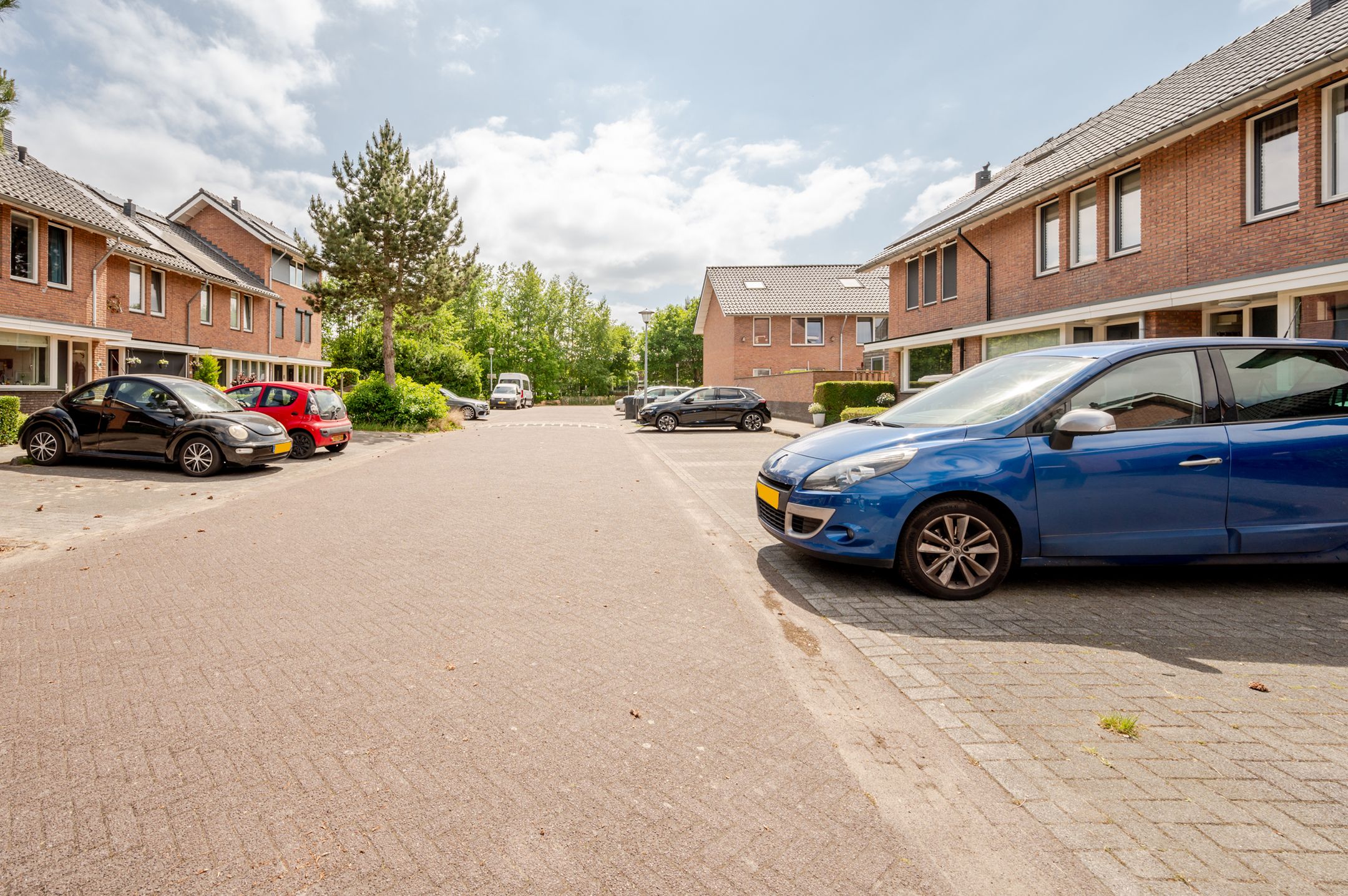 Photo 36 of Woldbergerhout 5