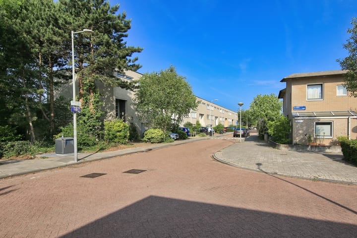 Foto 63 van Pyreneeën 61