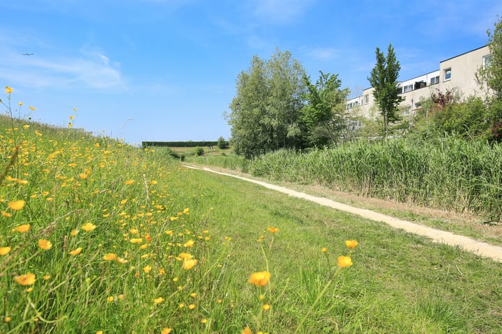 Foto 65 van Pyreneeën 61