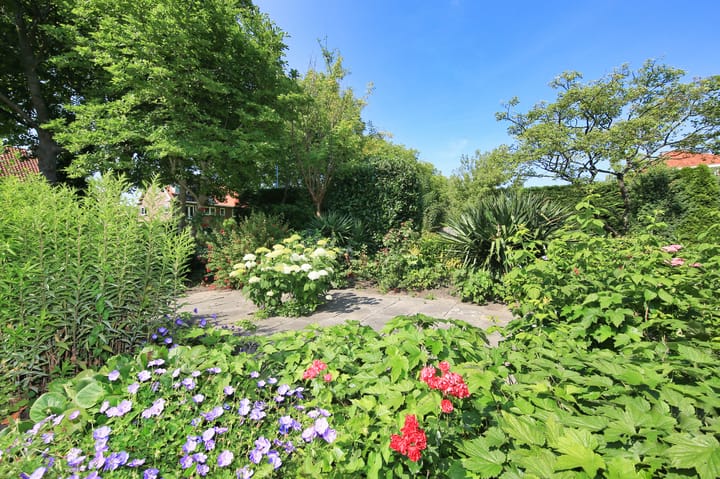 Photo 14 of Sloterweg 196