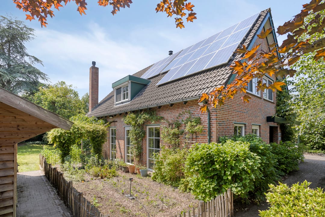 Foto 2 van Vogelwikke 24