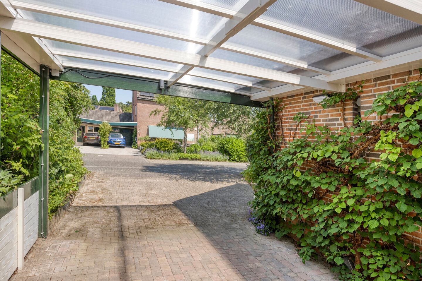 Foto 4 van Vogelwikke 24