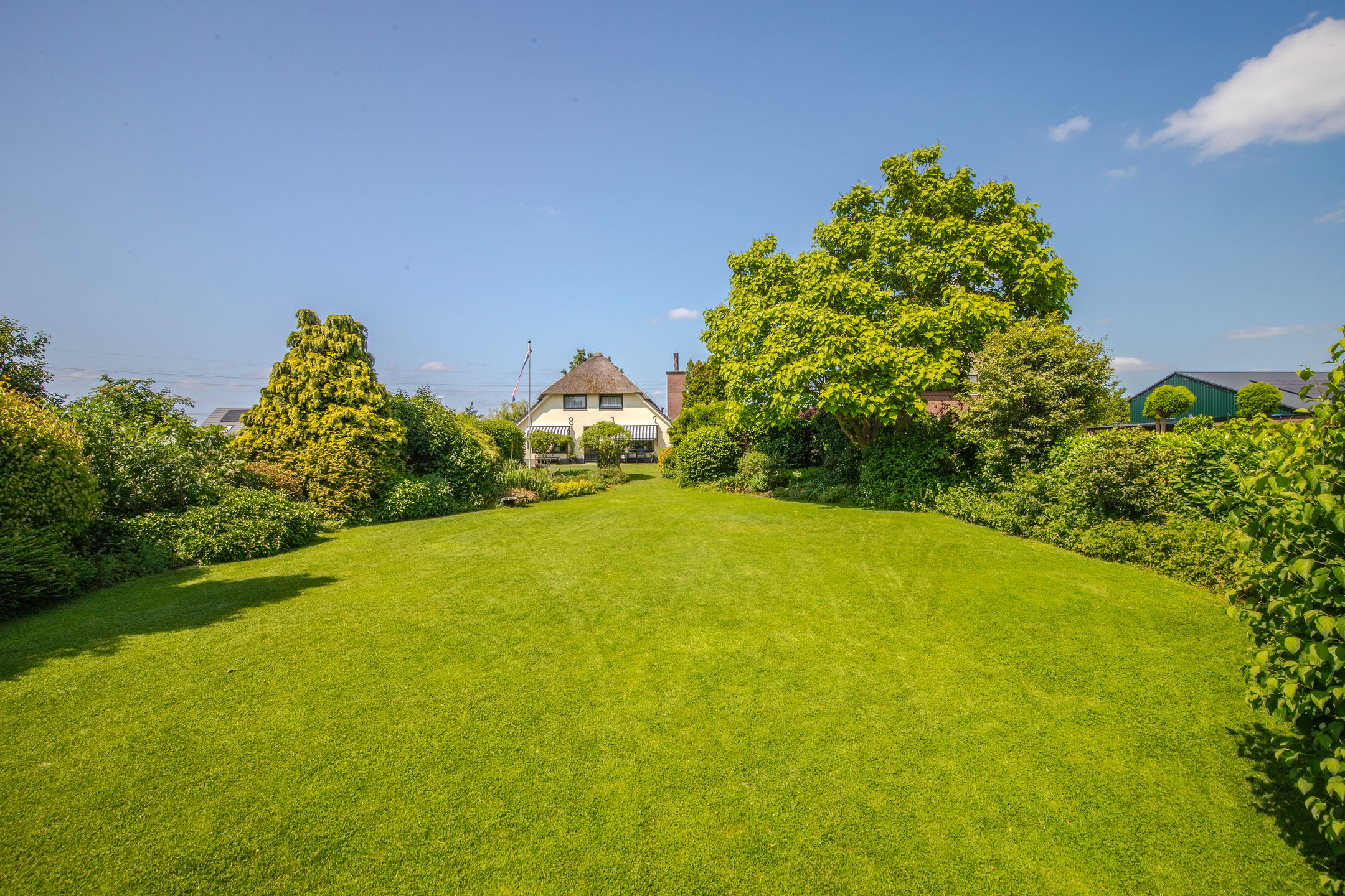 Foto 42 van Terpstraat 6