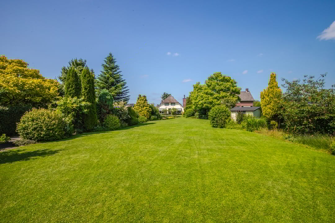 Foto 43 van Terpstraat 6