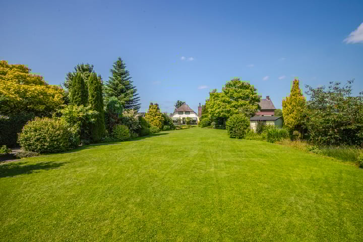 Photo 43 of Terpstraat 6