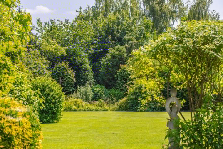 Photo 47 of Terpstraat 6