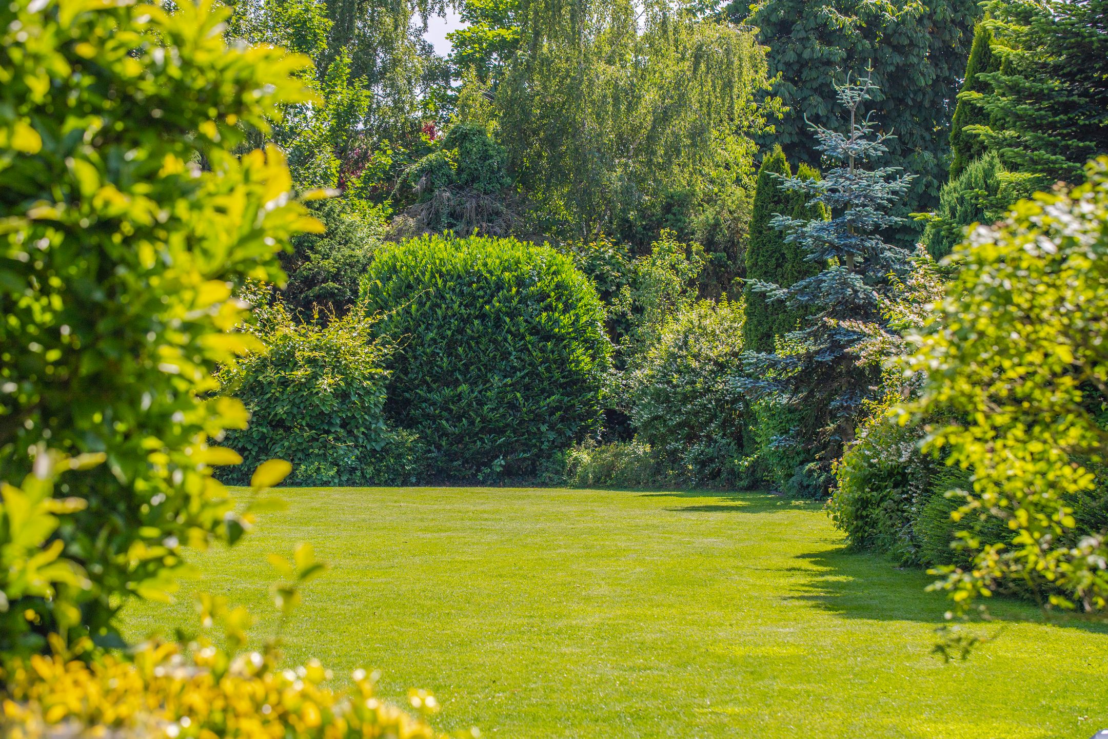 Foto 48 van Terpstraat 6