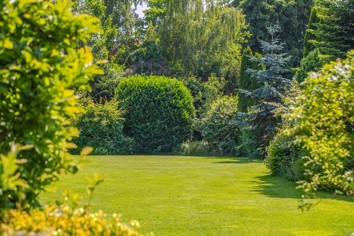 Photo 48 of Terpstraat 6