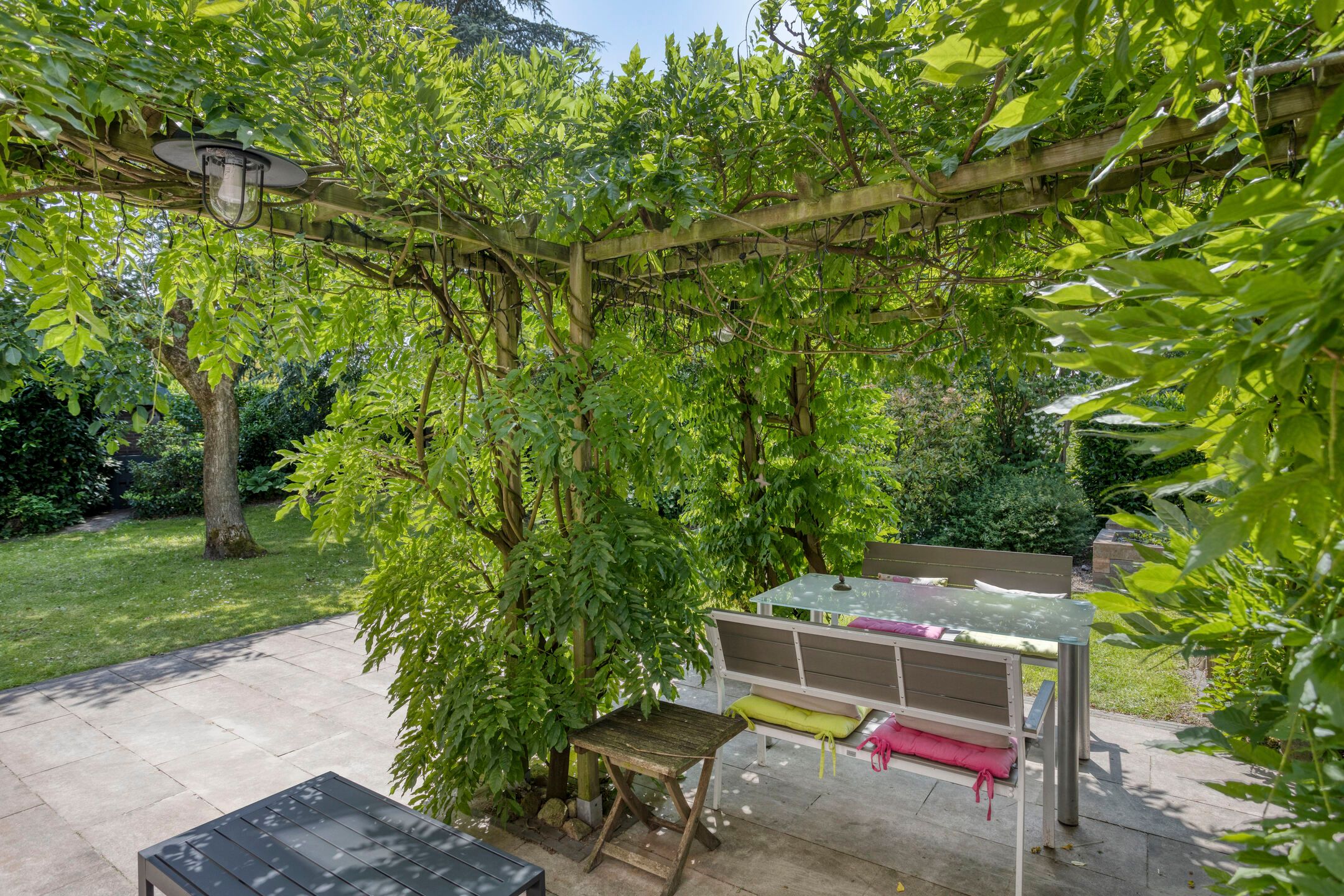 Foto 45 van Vogelwikke 24