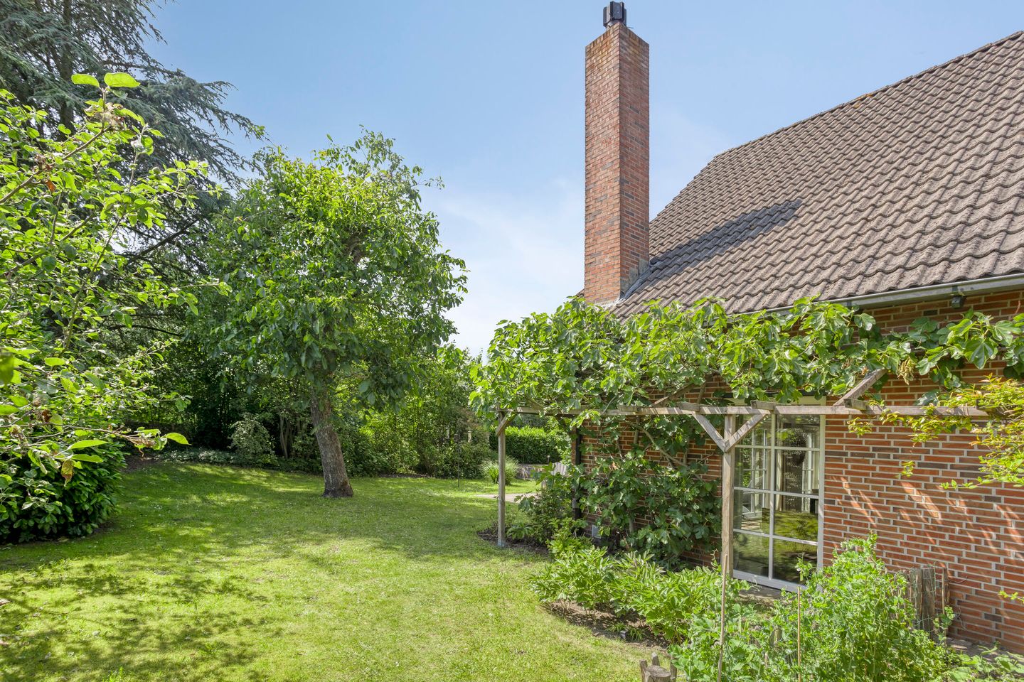 Foto 50 van Vogelwikke 24