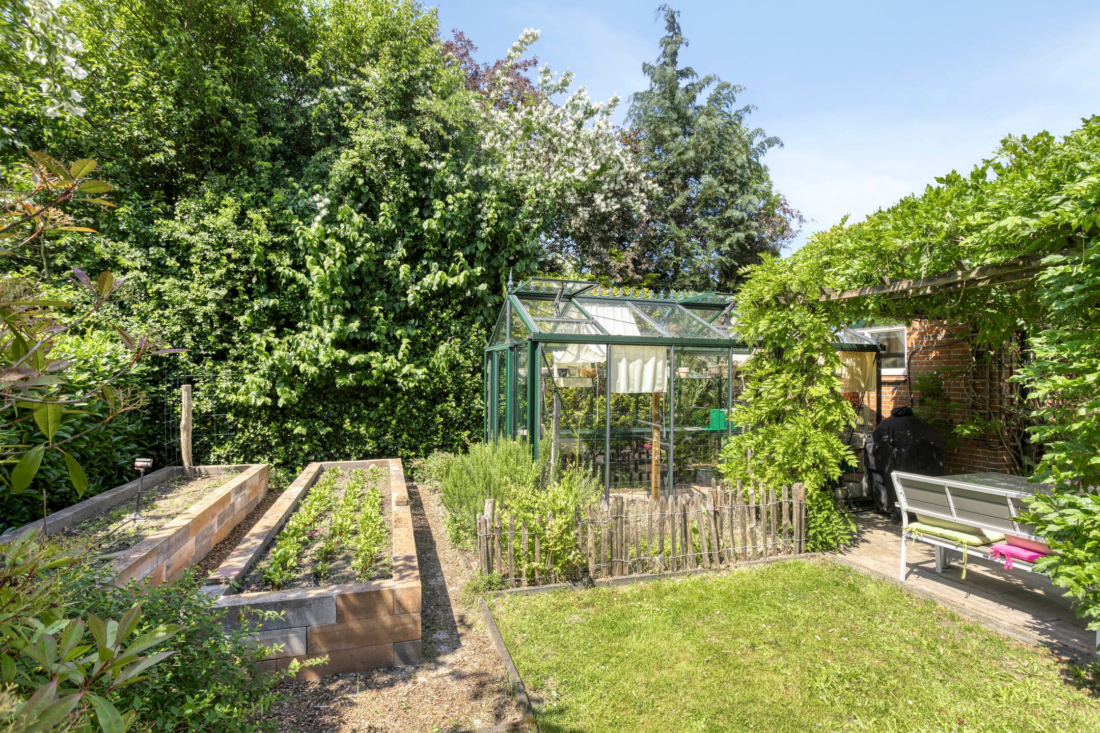 Foto 51 van Vogelwikke 24