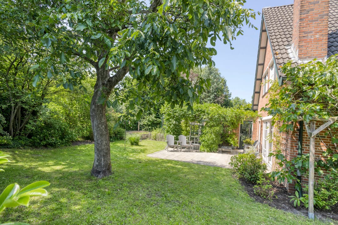 Foto 52 van Vogelwikke 24