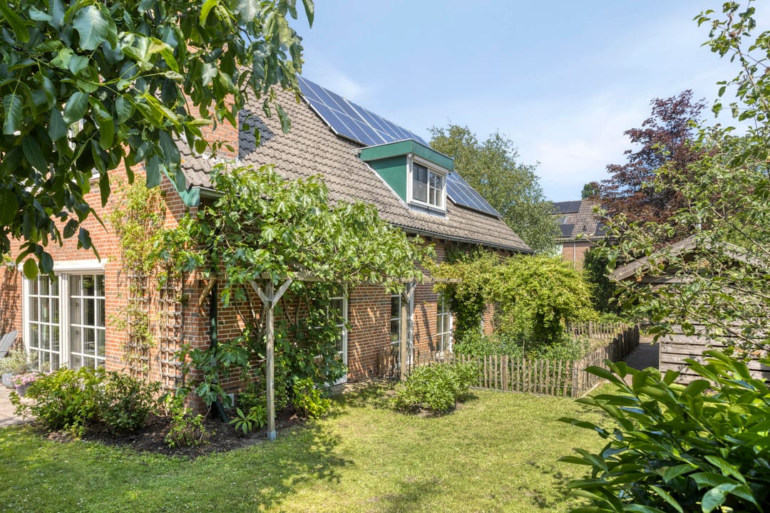 Foto 53 van Vogelwikke 24