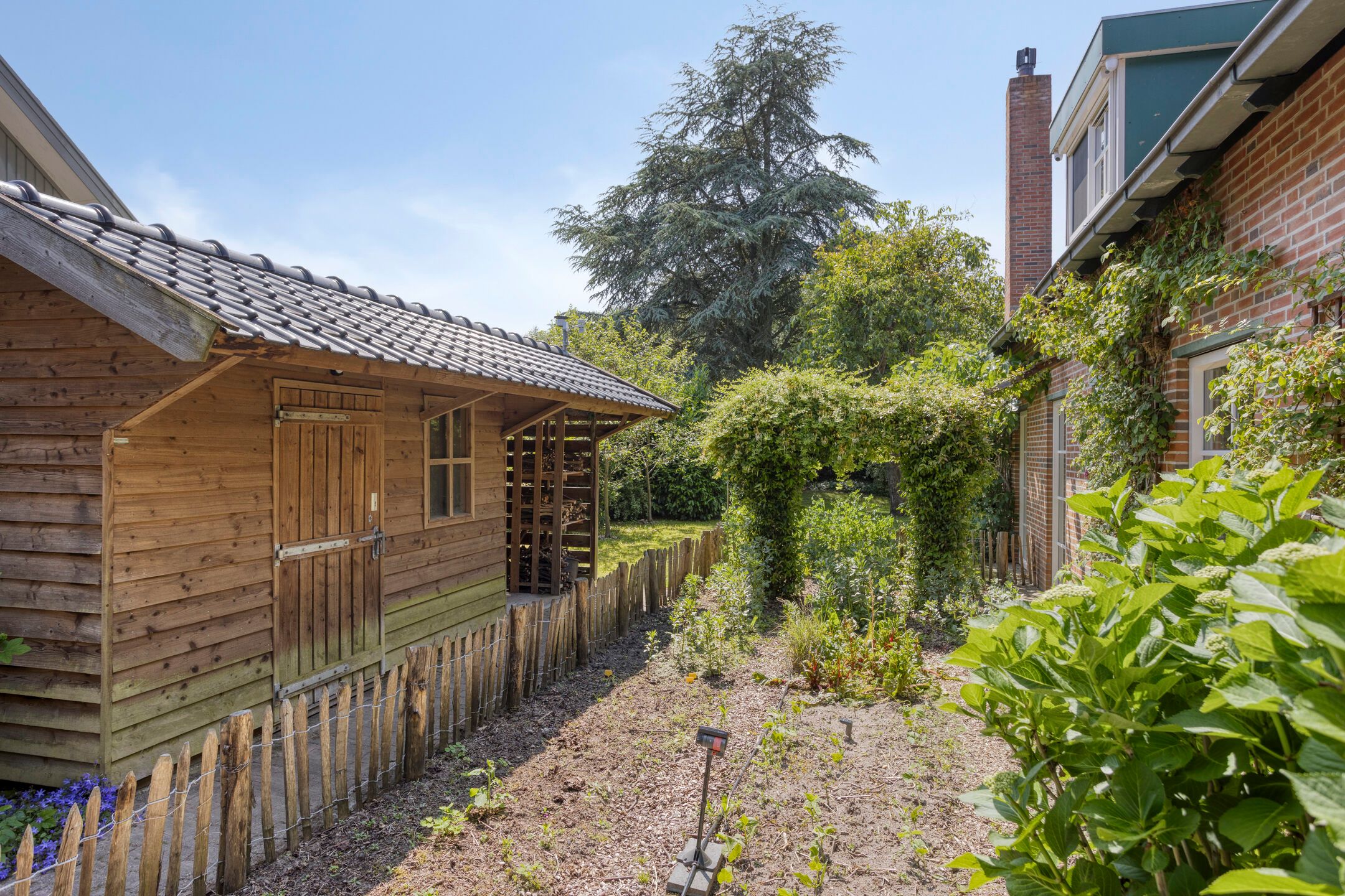 Foto 54 van Vogelwikke 24