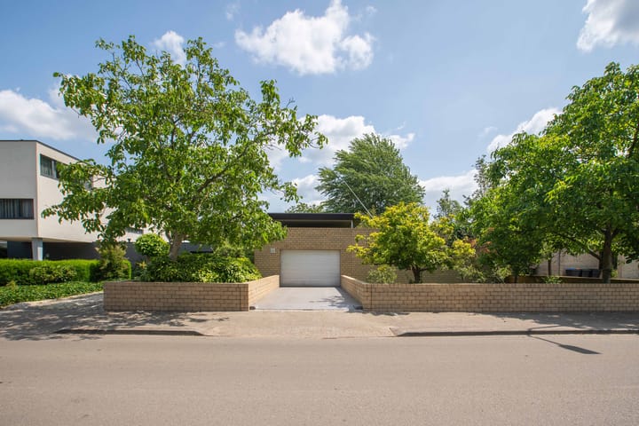 undefined main image