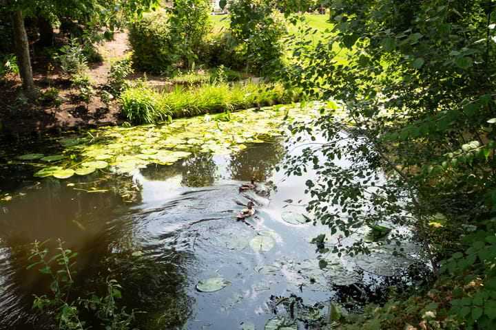 Foto 41 van Deltalaan 21