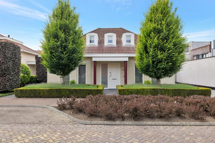 Foto 1 van Boomven 1