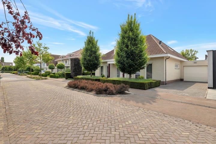 Foto 71 van Boomven 1