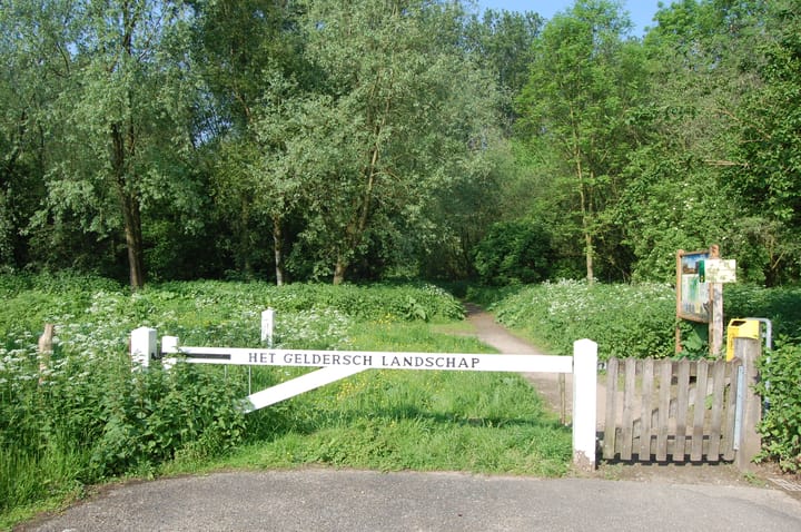 Foto 44 van Alladinstraat 12