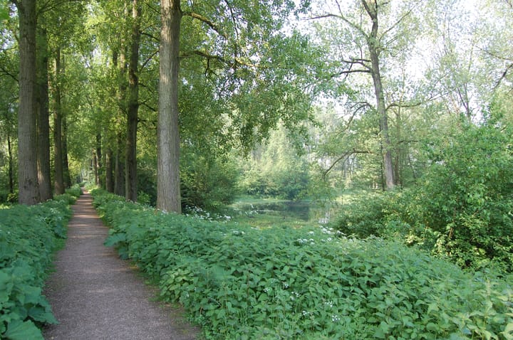 Foto 45 van Alladinstraat 12